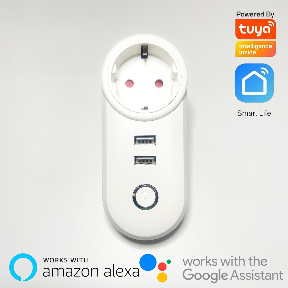 1Pcs 2.4G WIFI Power Plug With – Smart Home Energy App Bewertung und Preis