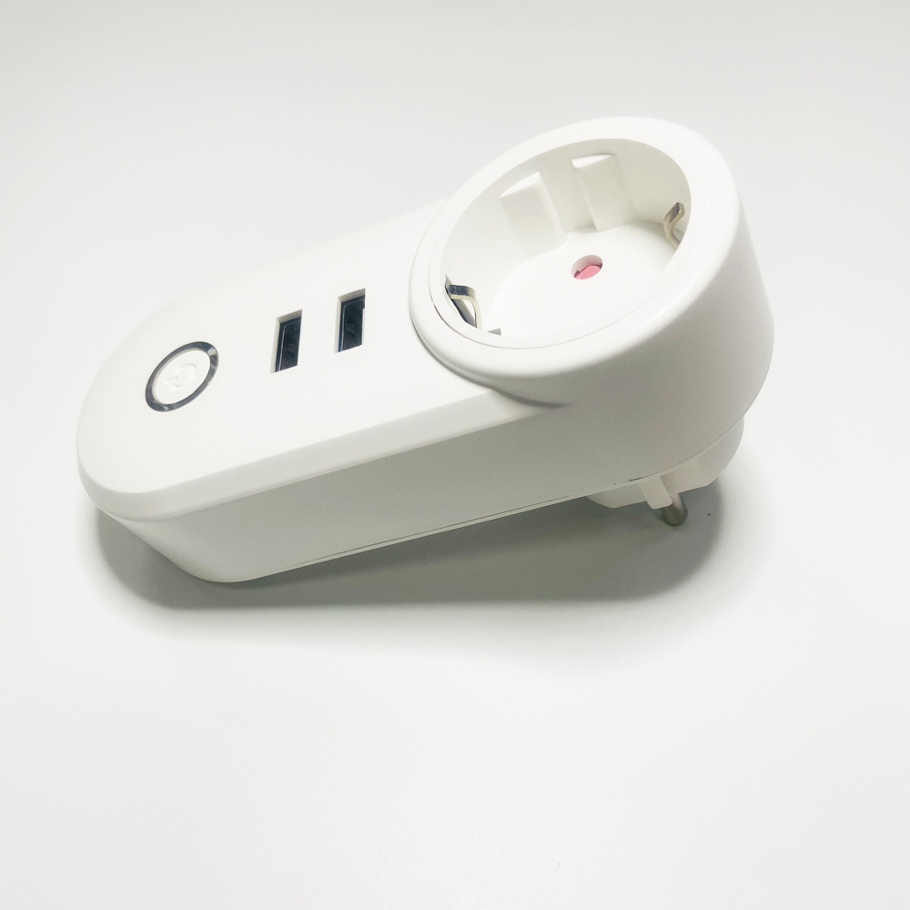 1Pcs 2.4G WIFI Power Plug With – Smart Home Energy App Bewertung und Preis