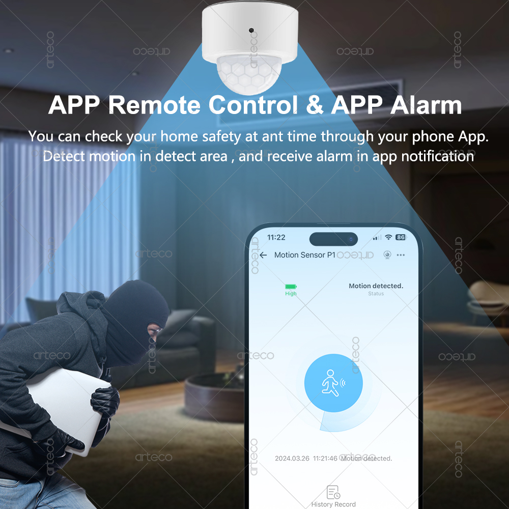 Ewelink Zigbee PIR Motion Sens – Zigbee Motion Sensor Bewertung und Preis