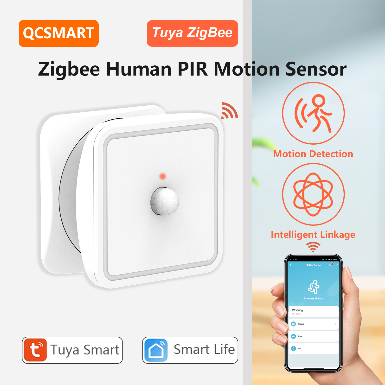 Tuya ZigBee Human Motion Senso – Zigbee Motion Sensor Bewertung und Preis