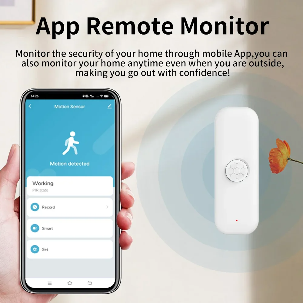 Tuya Zigbee 3.0 PIR Smart Moti – Smart Home Diy Bewertung und Preis