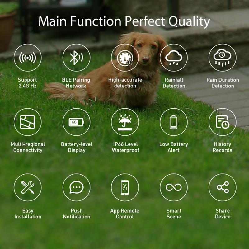 WiFi Rain Sensor Rainfall Dura – Smart Home Green Bewertung und Preis