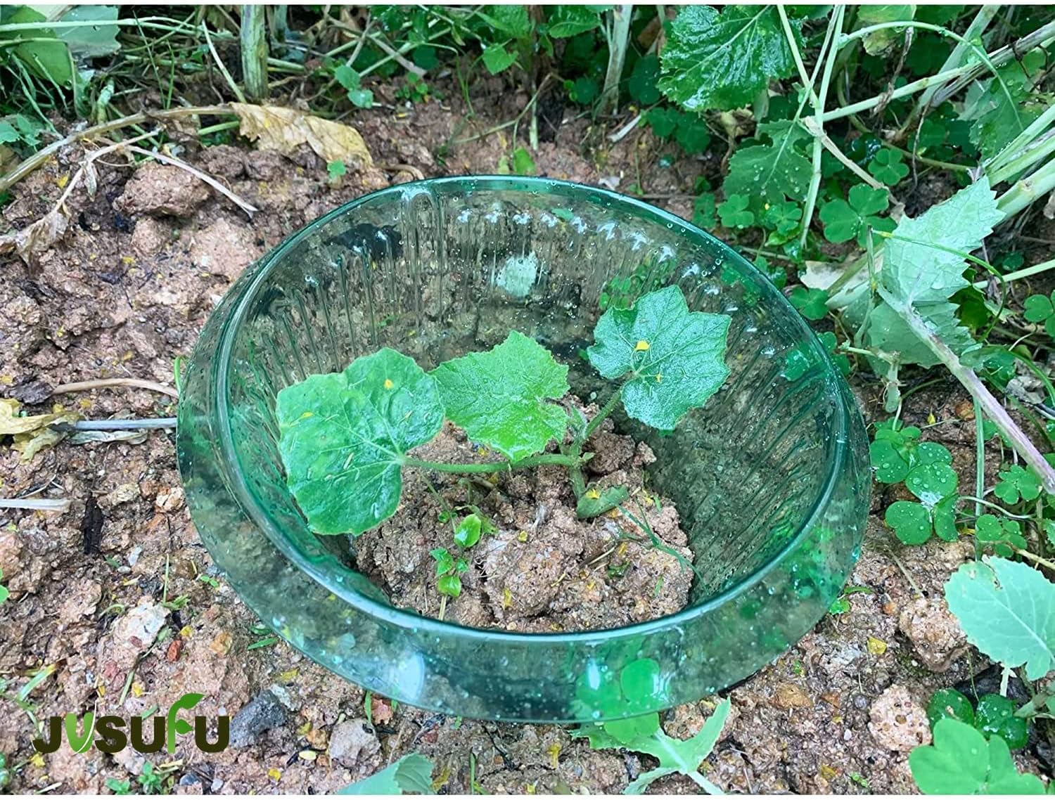 1/30pcs Plants Slug Protection – Smart Home Green Bewertung und Preis