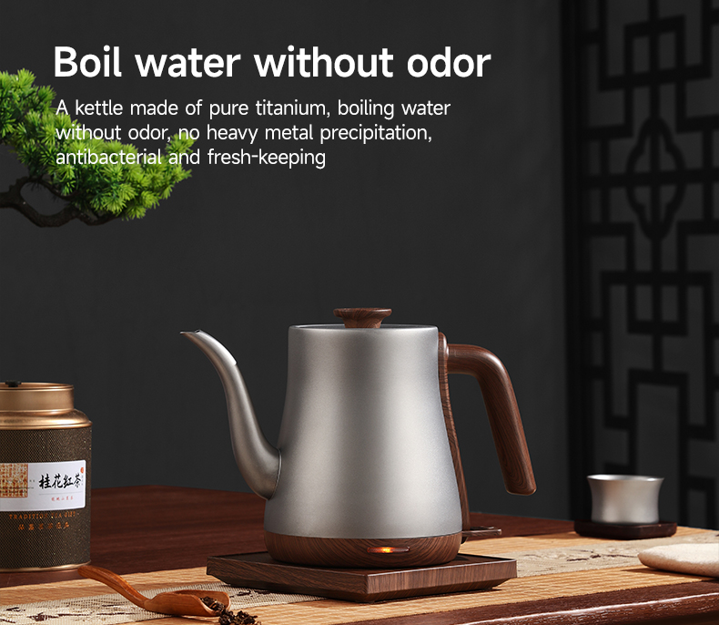 Morden Style Pure Titanium Ele – Home Smart Kettle Bewertung und Preis