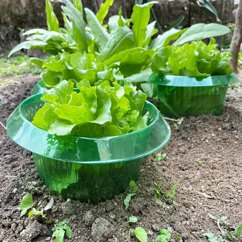 Plants Slug Protection Rings V – Smart Home Green Bewertung und Preis