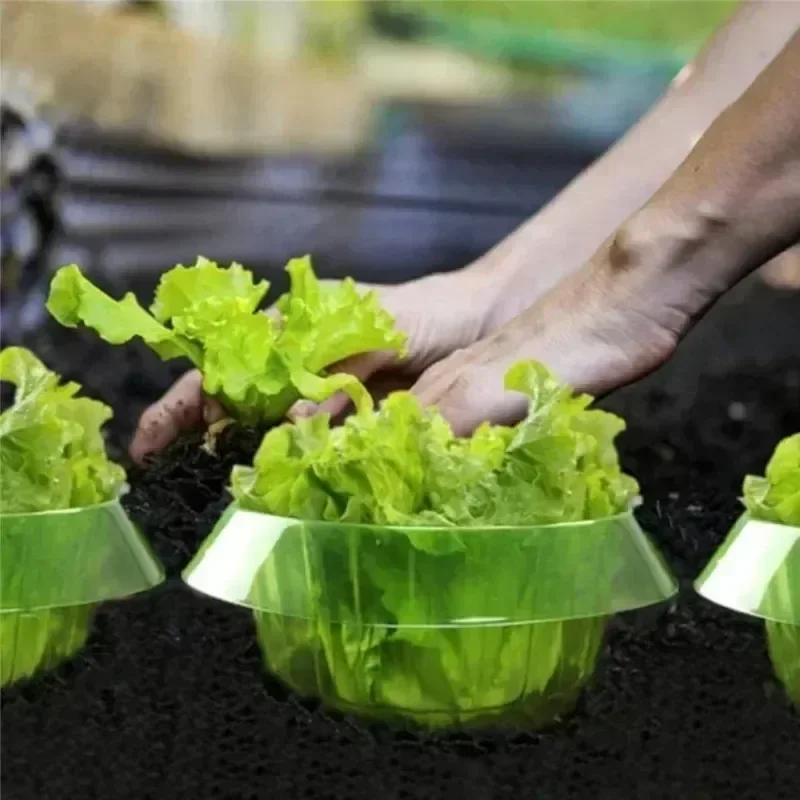 Plants Slug Protection Rings V – Smart Home Green Bewertung und Preis