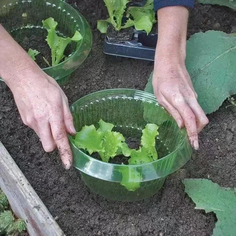 Plants Slug Protection Rings V – Smart Home Green Bewertung und Preis