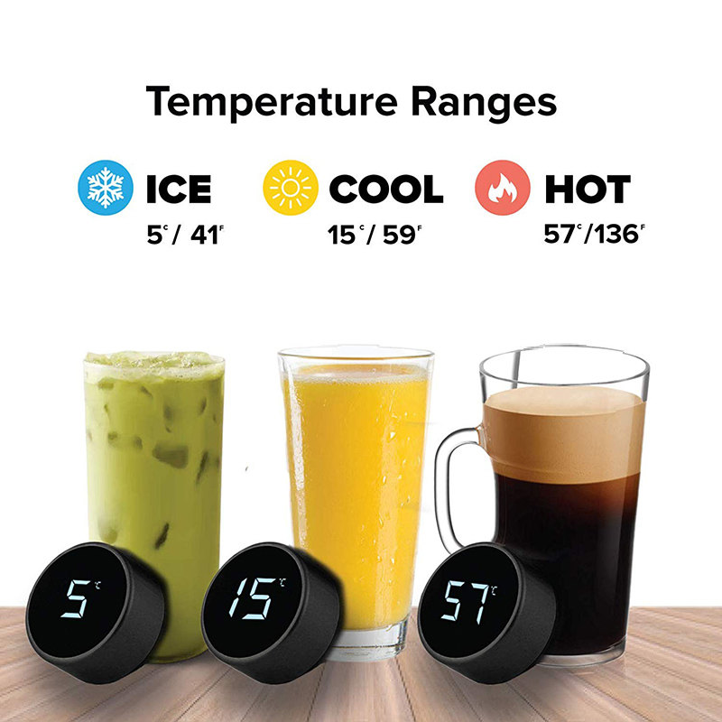 Stainless Steel Smart Water Bo – Home Smart Kettle Bewertung und Preis