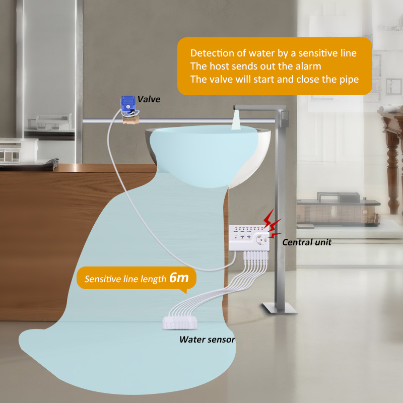 Water Leakage Sensor Smart Lif – Smart Home Water Level Sensor Bewertung und Preis