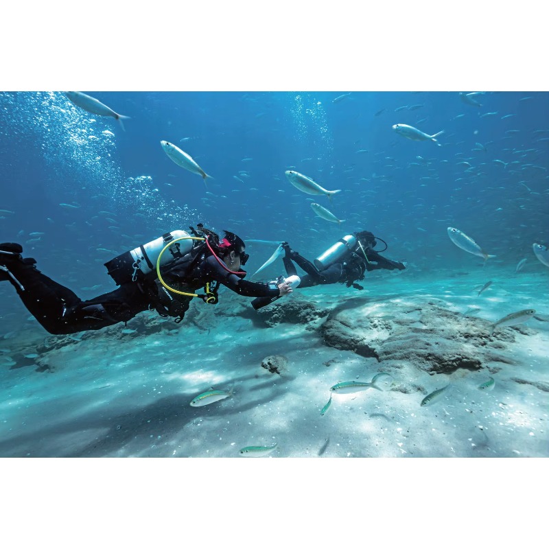High-Speed Electric Underwater – Smart Home Gym Bewertung und Preis
