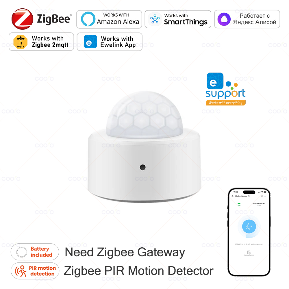 Zigbee Mini PIR Motion Sensor  – Zigbee Motion Sensor Bewertung und Preis