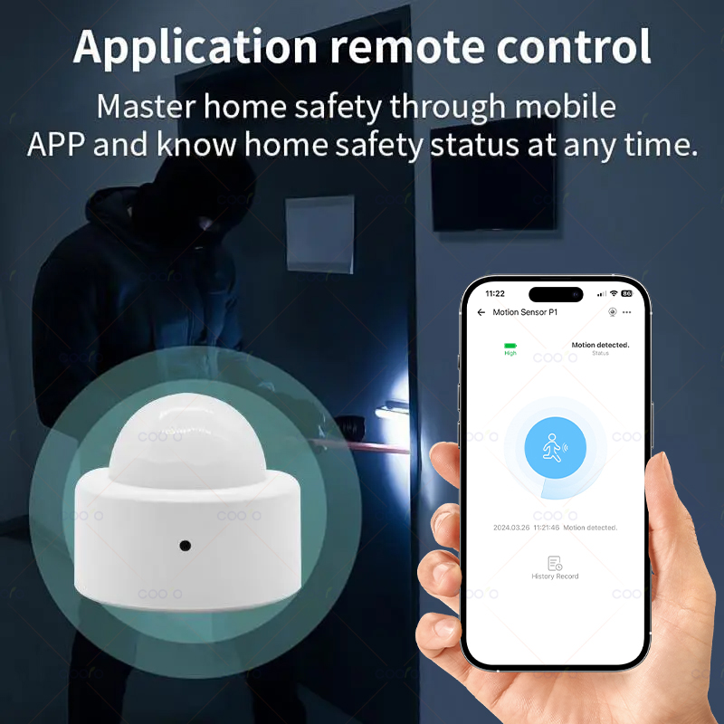 Zigbee Mini PIR Motion Sensor  – Zigbee Motion Sensor Bewertung und Preis