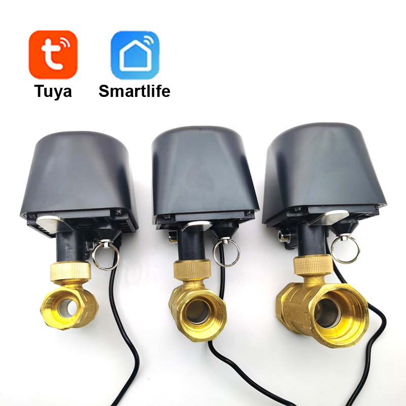 Tuya WiFi or Zigbee Water Valv – Smart Home Green Bewertung und Preis